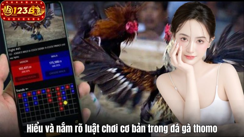 Khám Phá Đá Gà Thomo Online Chất Lượng Cao Tại 123B 2025 Hiểu và nắm rõ luật chơi cơ bản trong đá gà thomo