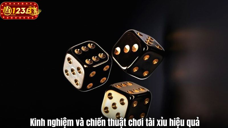 Kinh nghiệm và chiến thuật chơi tài xỉu hiệu quả