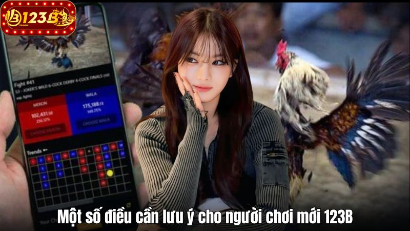 Khám Phá Đá Gà Thomo Online Chất Lượng Cao Tại 123B 2025 Một số điều cần lưu ý cho người chơi mới 123B