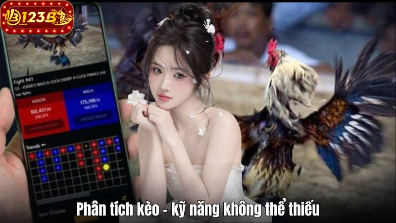 Khám Phá Đá Gà Thomo Online Chất Lượng Cao Tại 123B 2025 Phân tích kèo – kỹ năng không thể thiếu