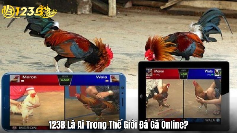 Cách Xem Đá Gà Online Tại Hệ Thống Cá Cược Của 123B 123B Là Ai Trong Thế Giới Đá Gà Online?