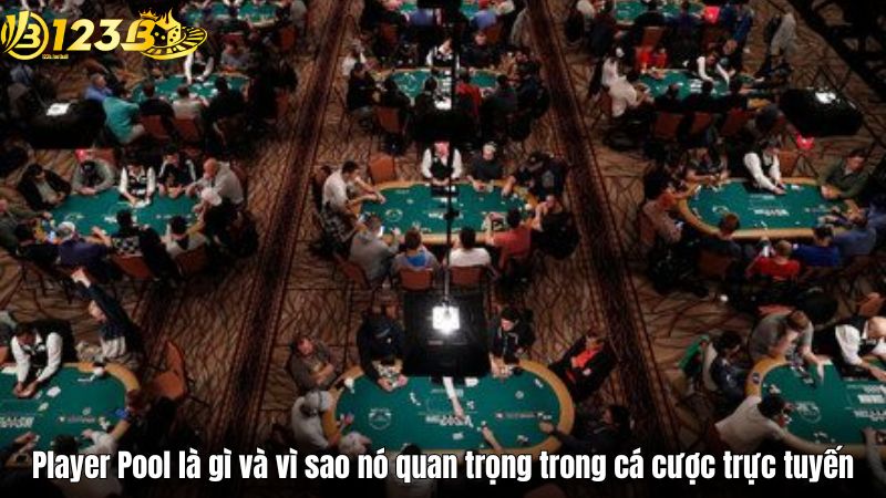 Player Pool là gì và vì sao nó quan trọng trong cá cược trực tuyến