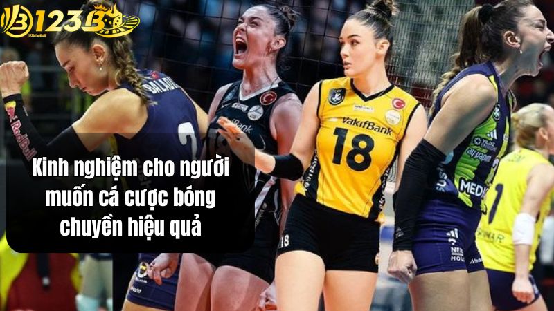 Kinh nghiệm cho người muốn cá cược bóng chuyền hiệu quả
