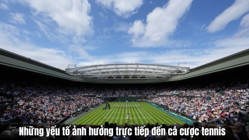 Những yếu tố ảnh hưởng trực tiếp đến cá cược tennis